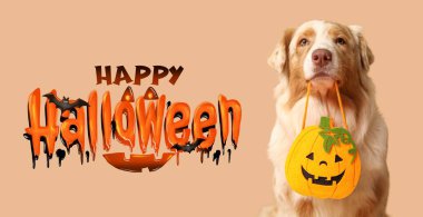 Bej arka planda şirin bir köpek olan Cadılar Bayramı afişi