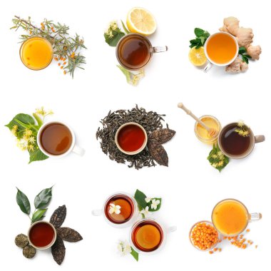 Beyaz zemin üzerinde farklı çay çeşitleri olan fincanlar, üst görünüm