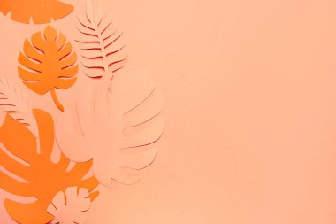 Turuncu arka planda farklı tropikal yapraklar