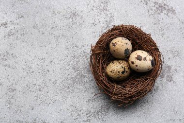 Arka planda taze bıldırcın yumurtaları olan bir yuva.