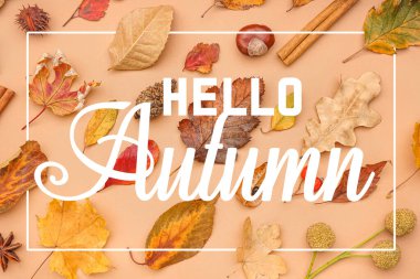 Yazılı pankart Hello AUTUMN ve bej arkaplanda çiçek dekoru