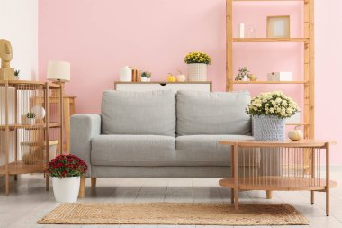 Gri kanepesi ve kahve masasında güzel kasımpatı çiçekleri olan modern oturma odasının içinde.