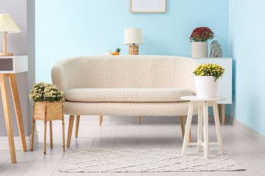 Beyaz kanepe ve güzel kasımpatı çiçekleri olan modern oturma odasının içinde.