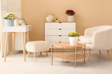 Beyaz kanepe ve kahve masasında kasımpatı çiçekleri olan şık bir oturma odası.