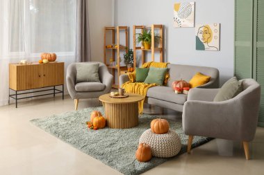 Gri koltuklu, koltuklu, kahve masalı ve balkabaklı modern oturma odasının içi.