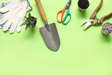 Aloe Vera, bahçe aletleri ve yeşil arka planda toprak ve taşlar olan saksılar. Üst görünüm