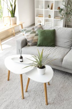 Aroma yayıcı, tepsi ve çiçek modern ışık oturma odasındaki masalarda.