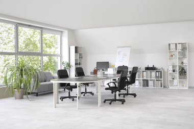 Büyük masası, koltukları, raf ünitesi ve saksısı olan ışık konferans salonu.