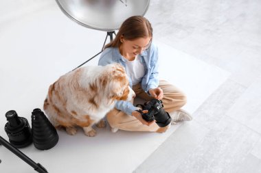 Şirin bir Avustralyalı çoban köpeği olan kadın fotoğrafçı stüdyoda resimlere bakıyor.