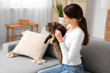 Genç bir kadın evdeki kanepede kediyi fırçalıyor.