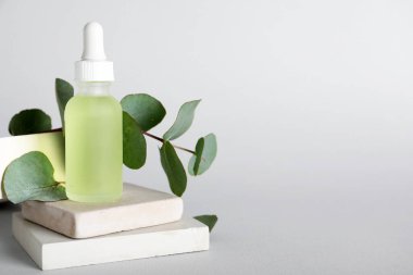 Okaliptüs şişesiyle güzel bir kompozisyon. Gerekli yağ ve alçı hafif arka planda duruyor.