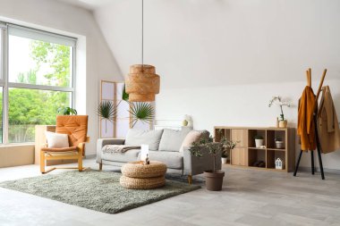 Konforlu kanepe, koltuk ve oturma odasının içindeki dekoratif zeytin ağacı.