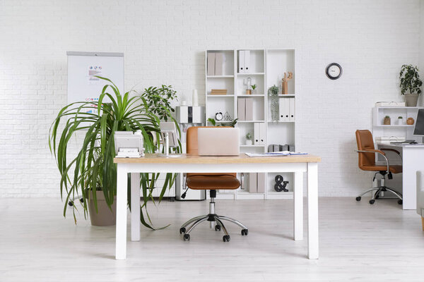 Interior of light office with workplace, armchair, shelving unit and houseplant