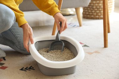 Evde kedi kumu kutusunu temizleyen genç bir kadın, yakın plan.