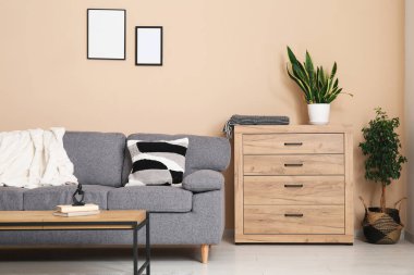 Rahat bir kanepe, sandık dolusu çekmece ve oturma odasının iç tarafında bir sehpa.