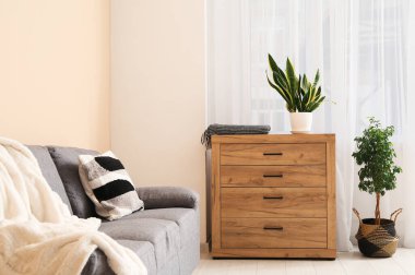 Konforlu kanepe, ev çiçekleri ve oturma odasındaki çekmeceler.