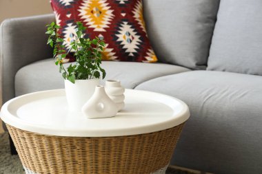 Oturma odasında çiçekli kahve masası ve dekoratif vazolar, yakın plan.