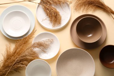 Renk arkaplan üzerinde farklı seramik masa takımı ve kuru sazlıklar içeren kompozisyon