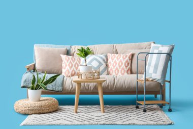 Rahat beyaz kanepe, ev bitkileri ve mavi arka planda halı.