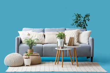 Rahat gri kanepe, kahve masası ve mavi arka planda ev bitkileri.