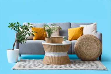 Rahat gri kanepe, kahve masası ve mavi arka planda ev bitkileri.