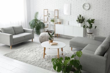 Oturma odasının içindeki beyaz tuğla duvarın yanında farklı bitkiler var.