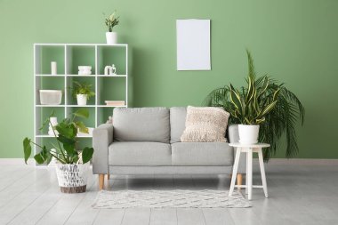 Kanepe, raf ünitesi ve oturma odasındaki yeşil duvarın yanındaki farklı ev bitkileri.