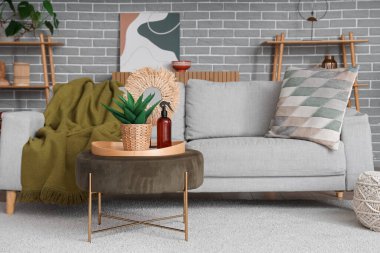 Oturma odasının içinde kanepe ve aroma spreyi var.