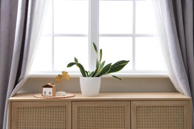 Oturma odasındaki pencerenin yanındaki klozete dekorlu bitki.