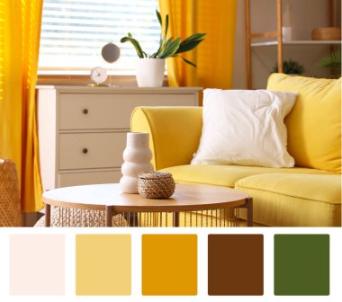 Oturma odasındaki sepetli vazo. Farklı renk desenleri