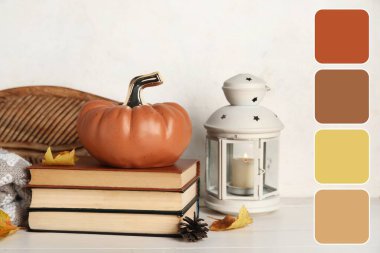 Süslü balkabağı, sonbahar yaprakları, kitaplar ve beyaz arka planda fener. Farklı renk desenleri