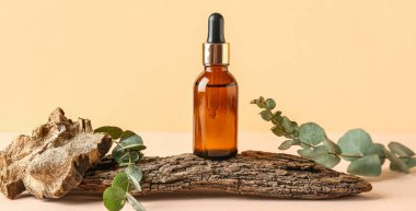 Okaliptüs dallı bir şişe kozmetik yağı ve bej arka planda ağaç kabuğu.