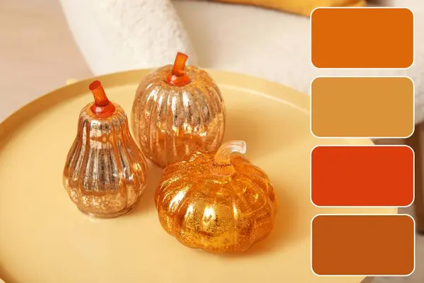 stock image Decorative pumpkins on table in living room. Different color patterns