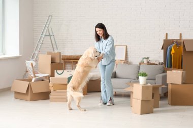 Genç mutlu bir kadın ve kutuları olan sevimli Labrador köpeği taşınma gününde eğleniyorlar.