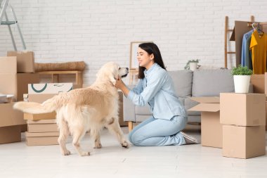 Genç, mutlu bir kadın ve taşınma gününde kutuları olan sevimli Labrador köpeği evde oturuyor.