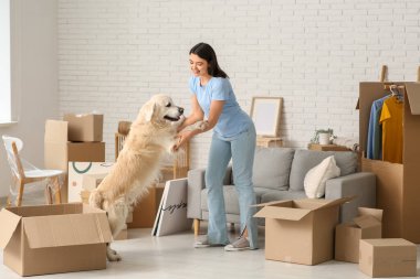 Genç mutlu bir kadın ve kutuları olan sevimli Labrador köpeği taşınma gününde eğleniyorlar.