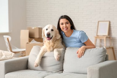 Genç, mutlu bir kadın ve evdeki kanepenin yanında kutuları olan sevimli Labrador köpeği.