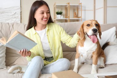 Tatlı Beagle köpeği olan genç bir kadın oturma odasındaki kanepede kitap okuyor.