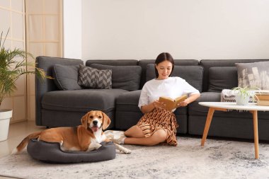 Genç bir kadın kitap okuyor ve oturma odasında yerde sevimli bir Beagle köpeği okşuyor.