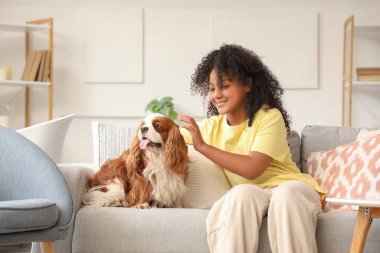 Süvari Kral Charles Spaniel 'i olan Afro-Amerikalı genç kız evdeki kanepede oturuyor.