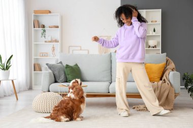 Genç Afro-Amerikalı kulaklıklı kız evde yakışıklı süvari Kral Charles Spaniel 'le oynuyor.