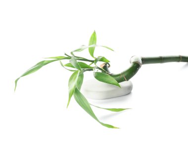 Beyaz arkaplanda yeşil bambu sapı ve spa taşı