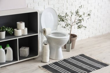 Tuvalet klozeti, raf ünitesi ve tuvaletteki beyaz tuğla duvarın yanındaki ev bitkisi.