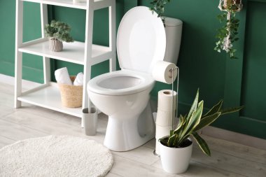 Tuvalet, ev bitkileri ve raflar tuvalette.