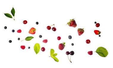 Beyaz arka planda nane aromalı farklı taze böğürtlenler.