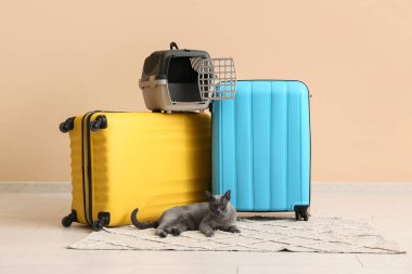 Evcil hayvan taşıyıcısının yanında yatan sevimli kedi ve bej arka planda bavullar