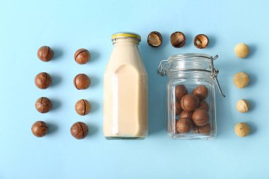 Mavi arka planda fındıklı bir şişe taze Macadamia sütü ve kavanoz.
