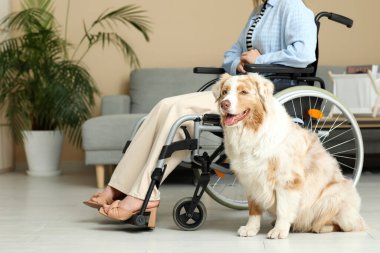 Evde tekerlekli sandalyedeki kadının yanında sevimli servis köpeği var.