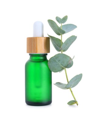 Beyaz arka planda bir şişe okaliptüs yağı, yakın plan.