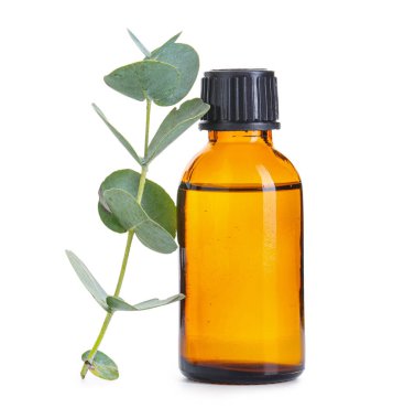 Beyaz arka planda bir şişe okaliptüs yağı, yakın plan.